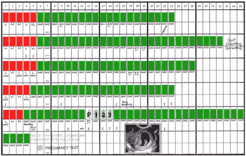 Fig 40-24